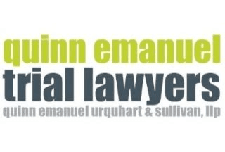 Software Expert Witness