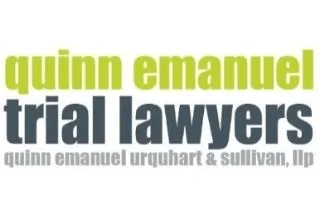 Software Expert Witness
